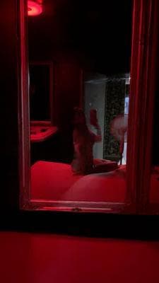 Jade - Photo 18