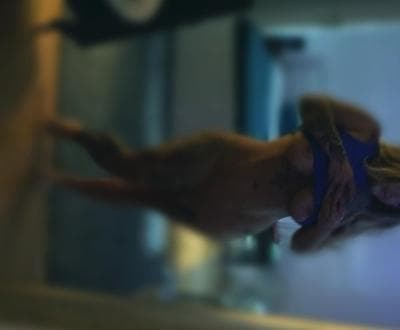 Lilly - Photo 6
